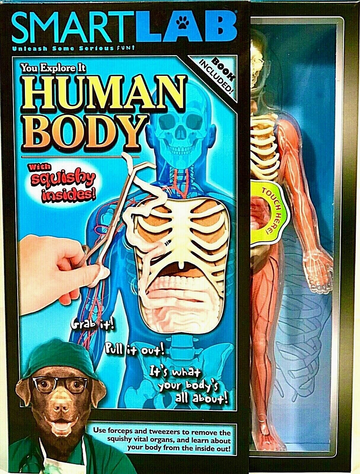 SmartLab You Explore It HUMAN BODY MODEL, Removable SQUISHY ORGANS, Tools & Book