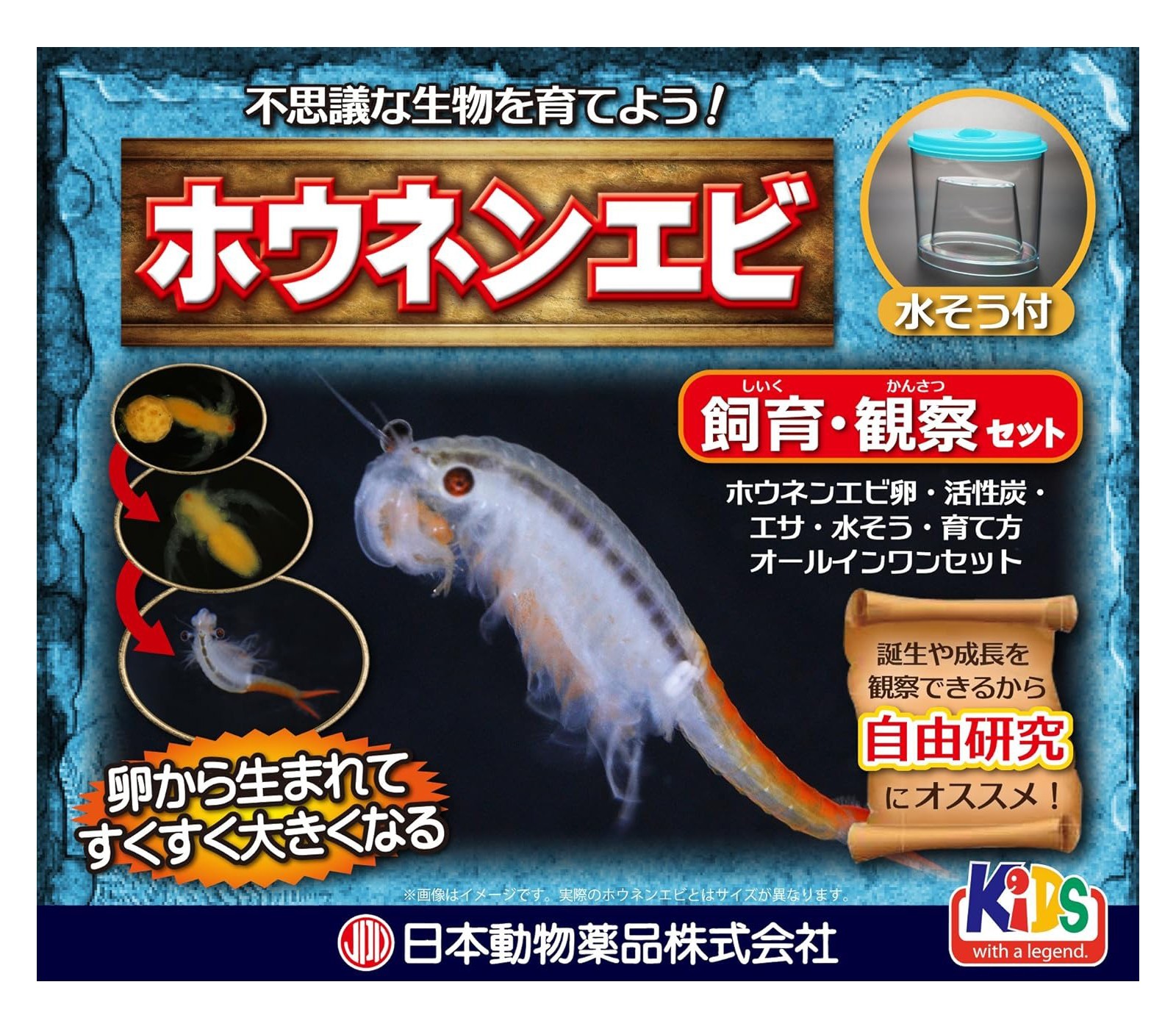 [Brand New] Hounenebi breeding and observation set(Sea-Monkeys/Aqua Dragons)