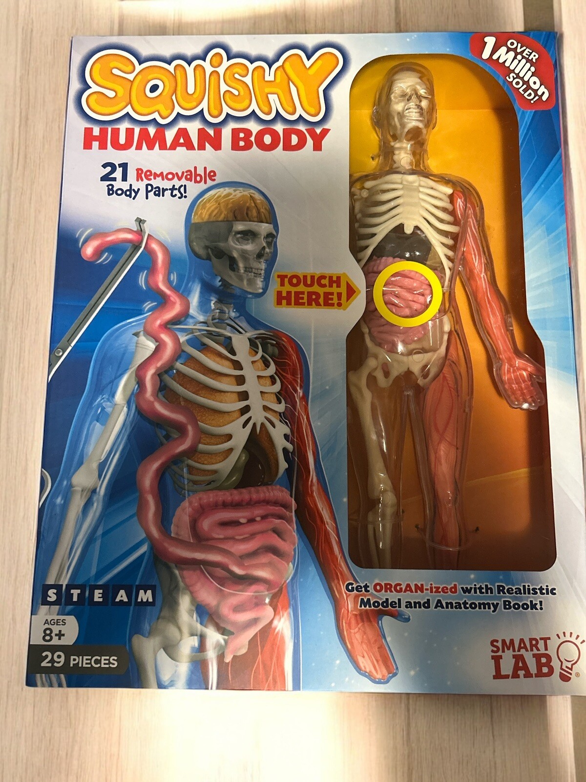 SmartLab Squishy Human Body – SL06428 For Ages 8+ Anatomy Book Incl