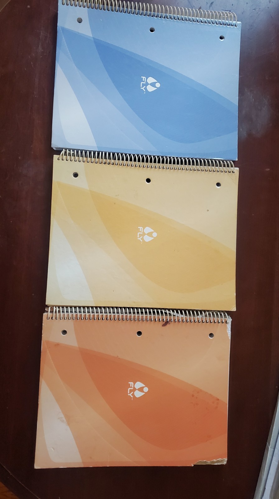 Fly Pentop Computer Pack – 3 Notebooks, Games & More COULD NOT GET PEN TO CHARGE