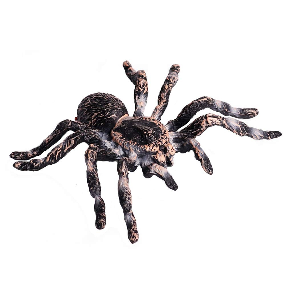 Realistic Animal Figures – Spider Action Model Lifelike Insect Toy Figures – …
