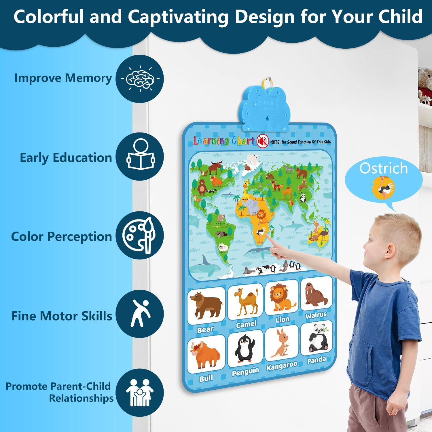 Electronic Interactive Double-Sided Alphabet Wall Chart, Talking ABC & 123 & Mus