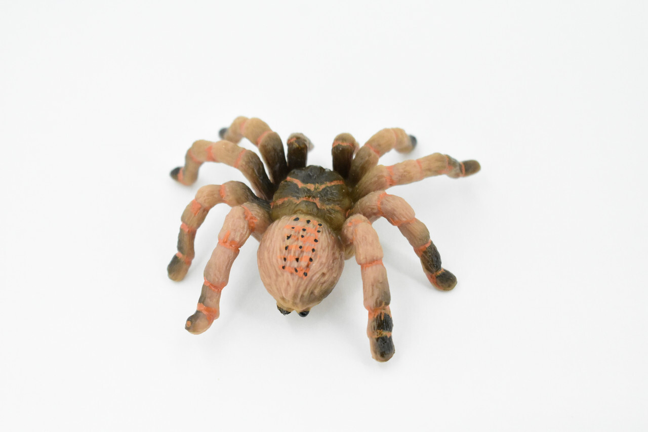 Wolf Spider, Hand Painted, Realistic Toy Figure, Model 3″ CH422 BB108
