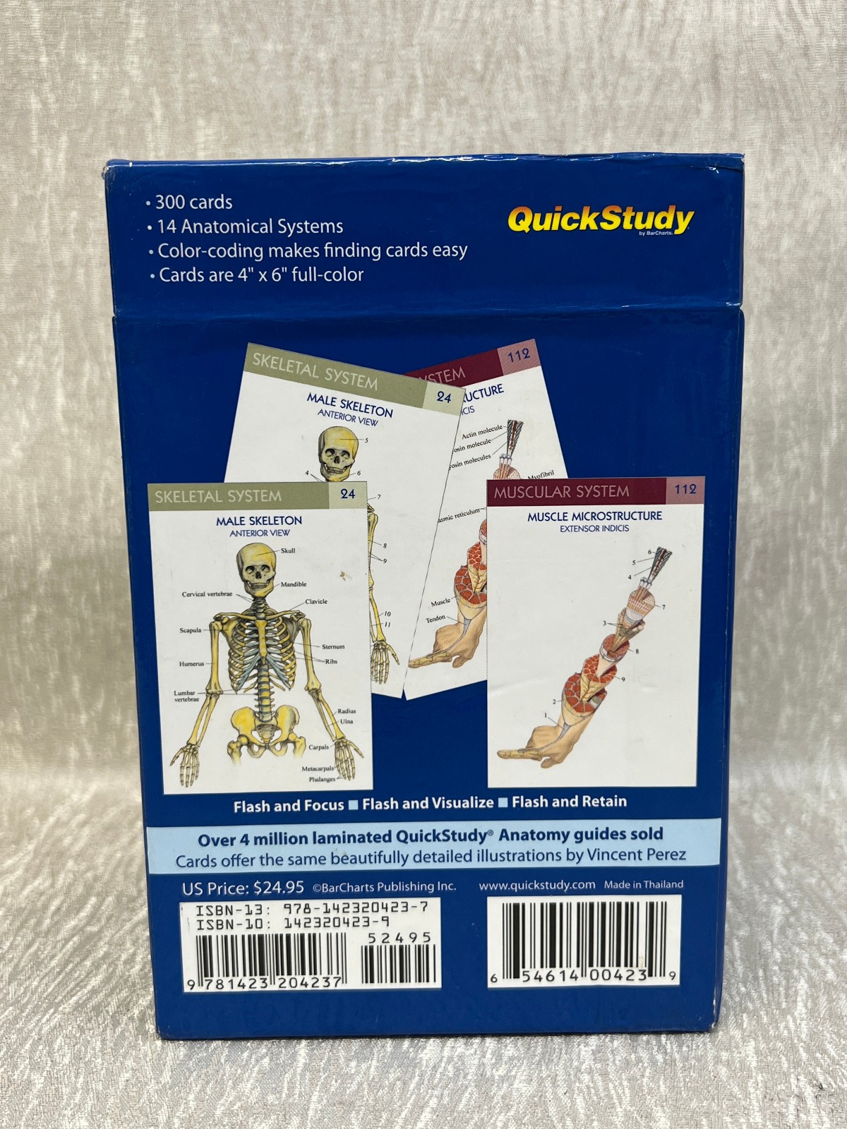 QuickStudy Anatomy Flash Cards 300ct – Full-Color – Study Aid