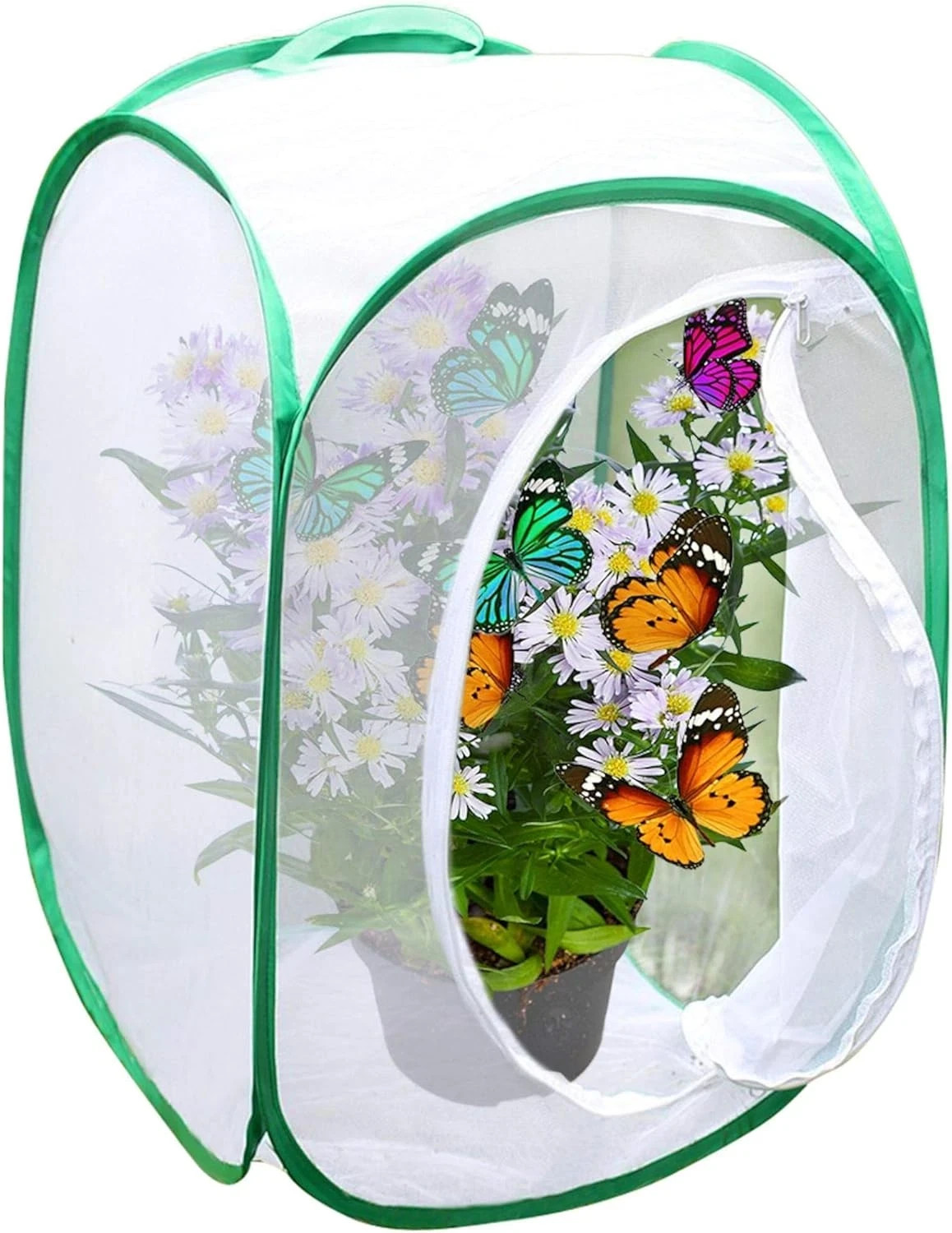 Foldable Butterfly Habitat, 24″ Butterfly Cage for Caterpillars, Create Farm, En