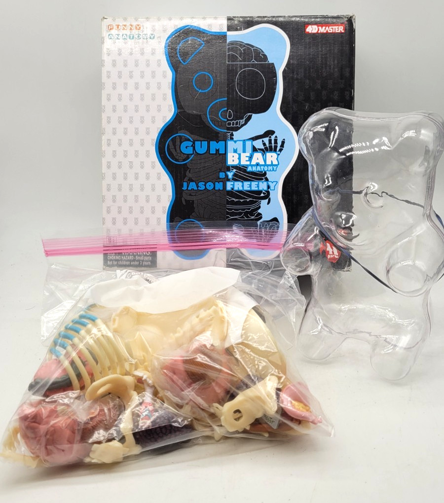 2016 4D Master MIGHTY JAXX Large Clear Gummi Bear Funny Anatomy Jason Freeny