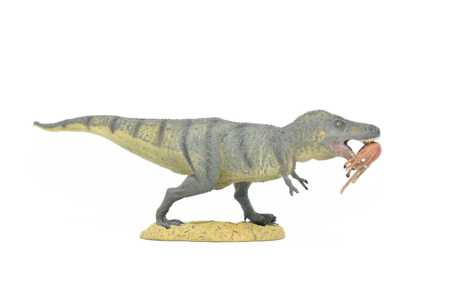 Tyrannosaurus rex, T. Rex, Dinosaur, with Prey Struthiomimus 10″ – F3515 B88