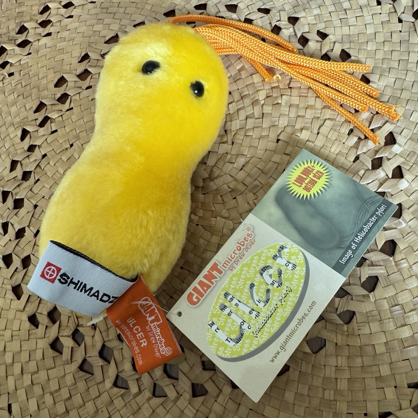 Giant Microbes Ulcer Heliobacter Pylori Plush Original Science Educational New