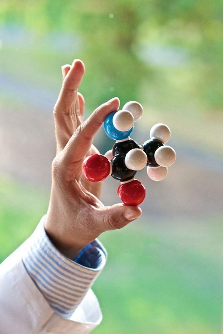 Chemistry Molecular Model Kit (444 Pieces), Student or Teacher Set for Organic a