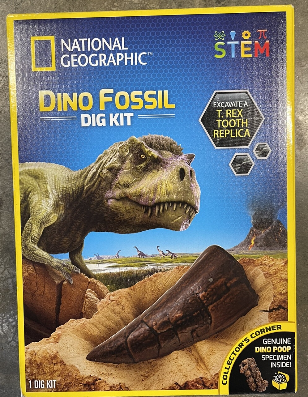 NATIONAL GEOGRAPHIC Dino Fossil Dig Kit – Dig Up a T.Rex Tooth Replica, STEM Kit