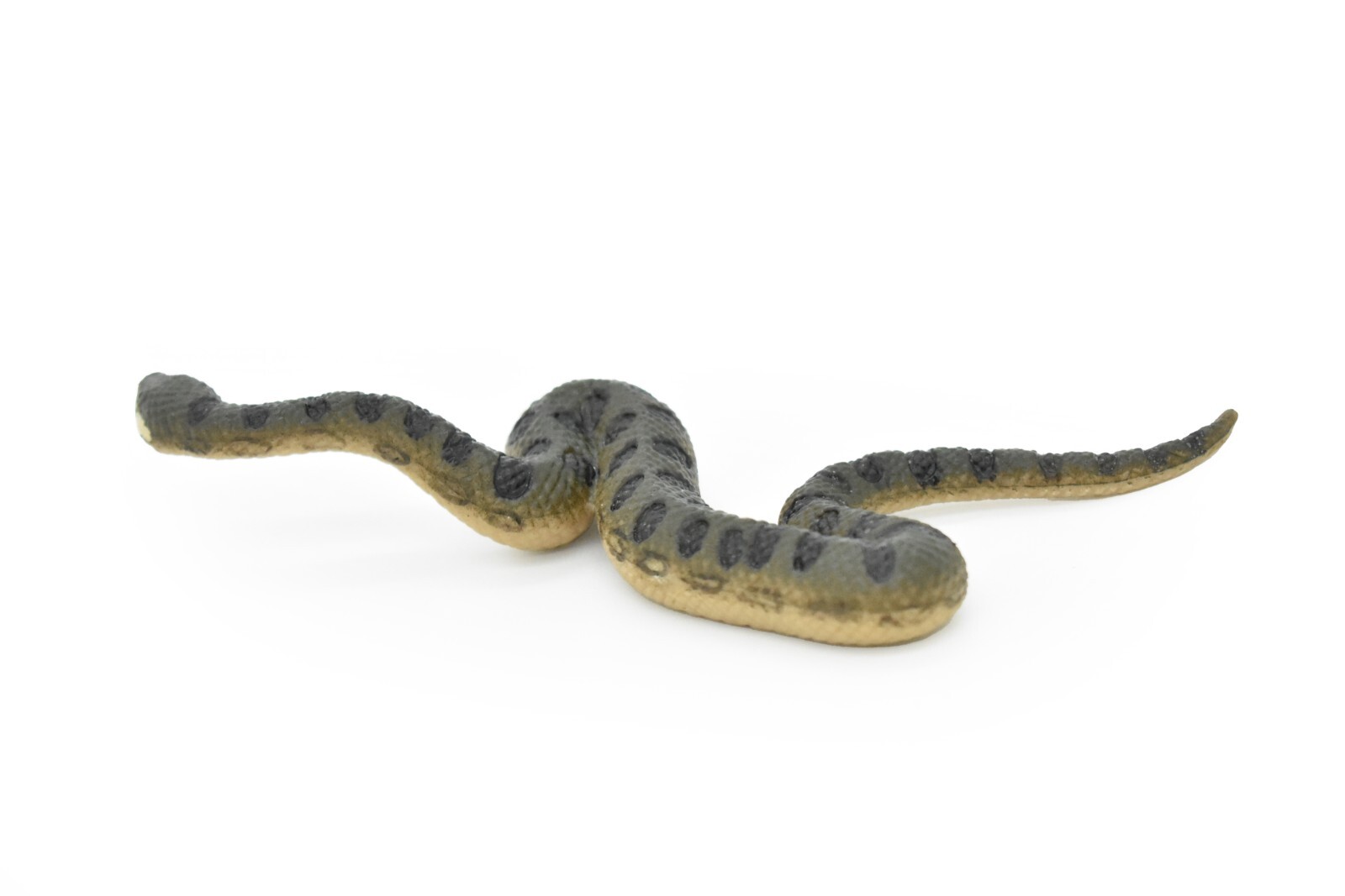 Anaconda Green, Snake, Realistic Rubber Model, Hand Painted Figurine