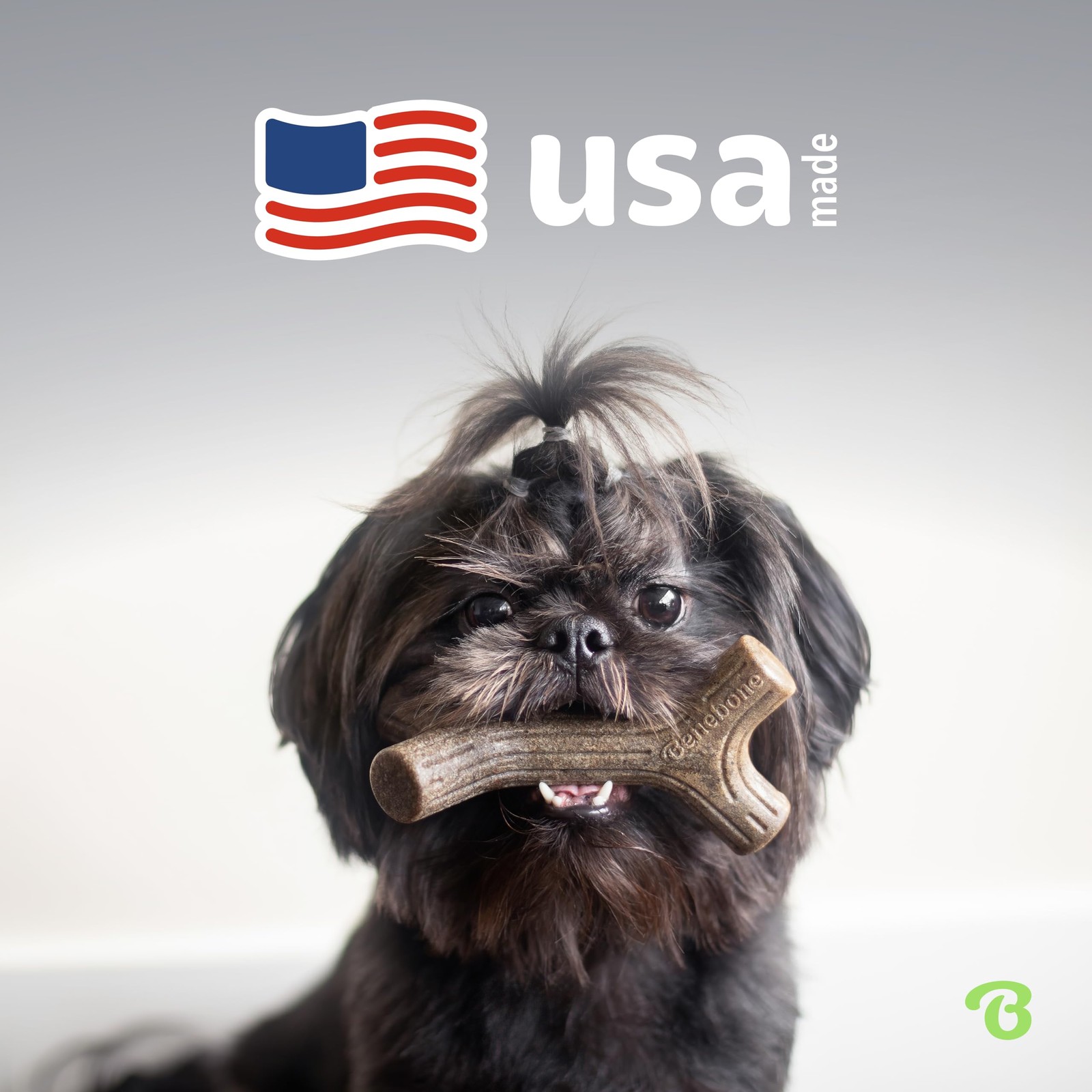 Benebone Small 4-Pack Dog Chew Toys – Aggressive Chewers, USA Made, Under 30lbs
