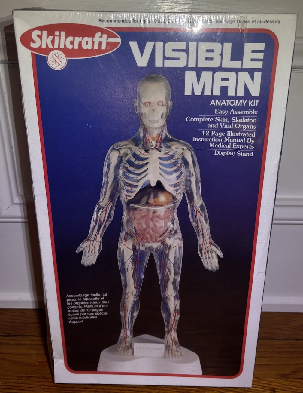 Vintage 1999 Skilcraft Visible Man Anatomy Model Kit No. 40155 NEW Made in USA