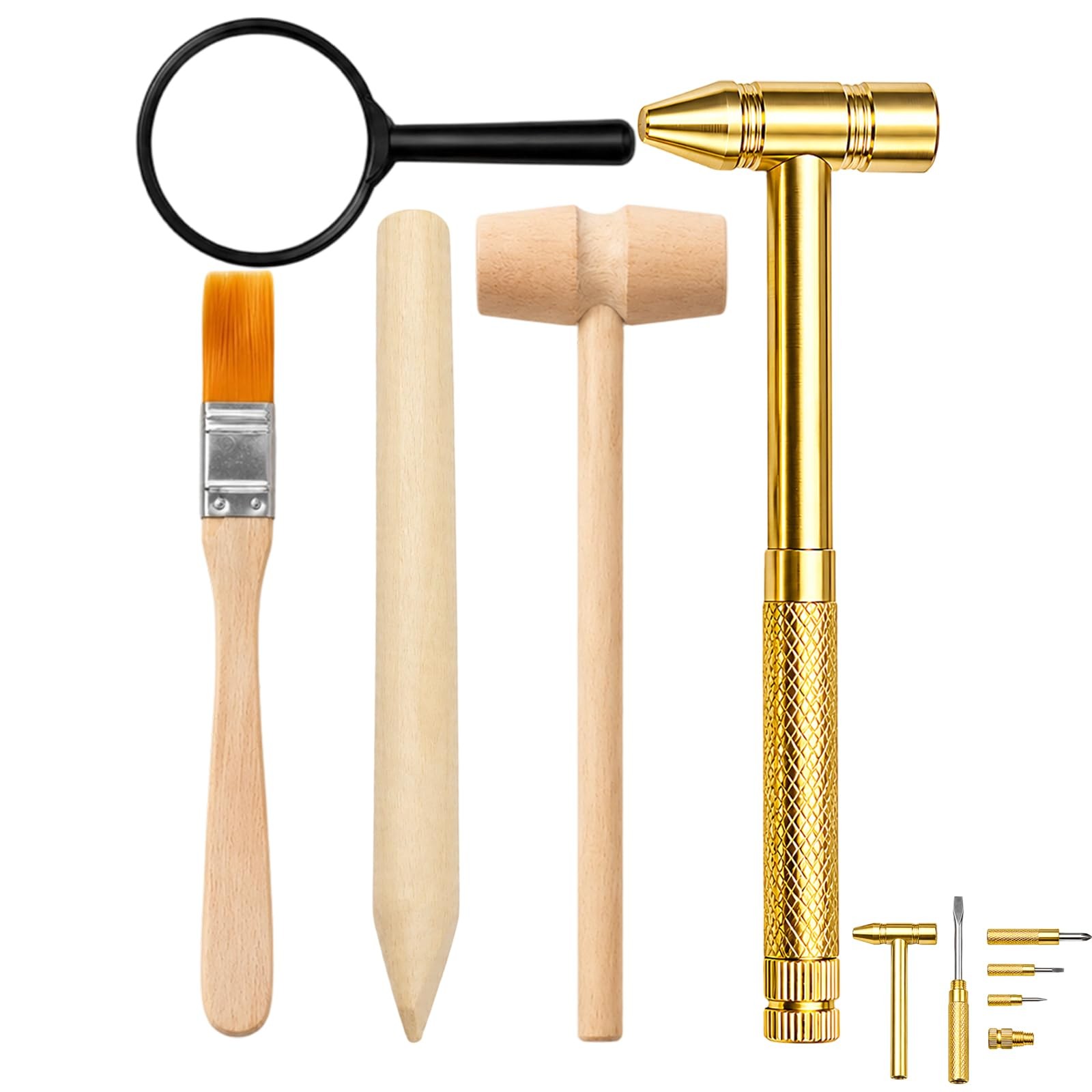 5PCS Fossil Dig Kit, Digging Tools, Complete Tool Set for Hobby Excavation an…