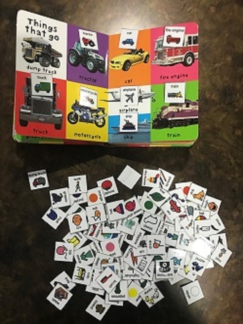 Special Needs / Autism Adapted Interactive Book – First 100 Words