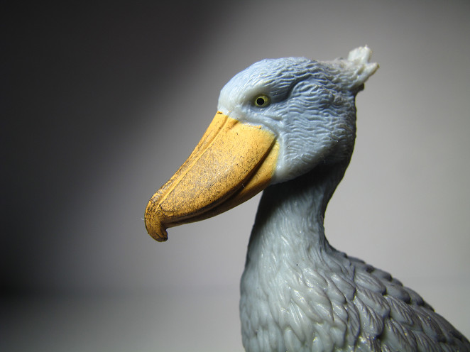 2016 NEW Collecta Animal Toy / Figure Shoebill