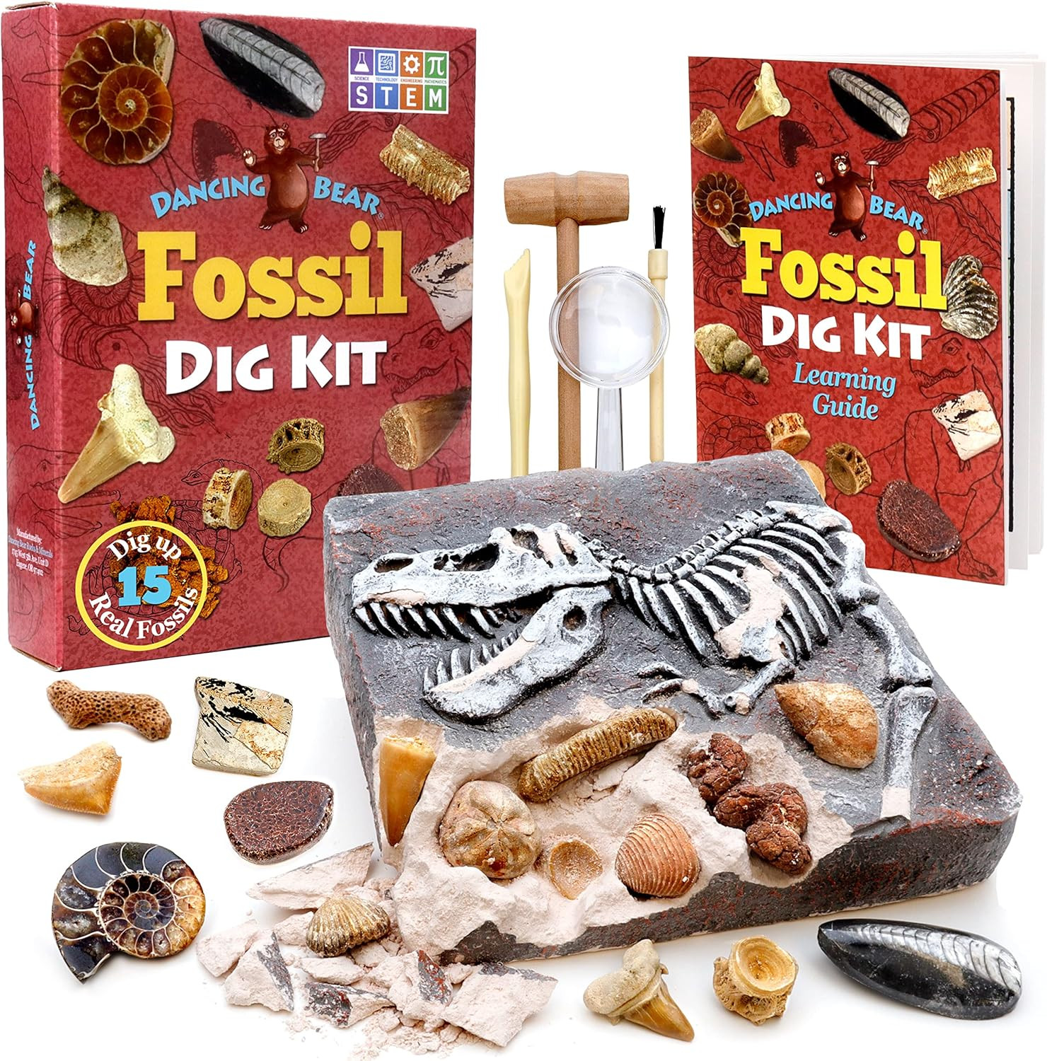 Fossil Dig Kit – Excavate 15 Real Dinosaur Bones & Shark Teeth STEM Science Toy