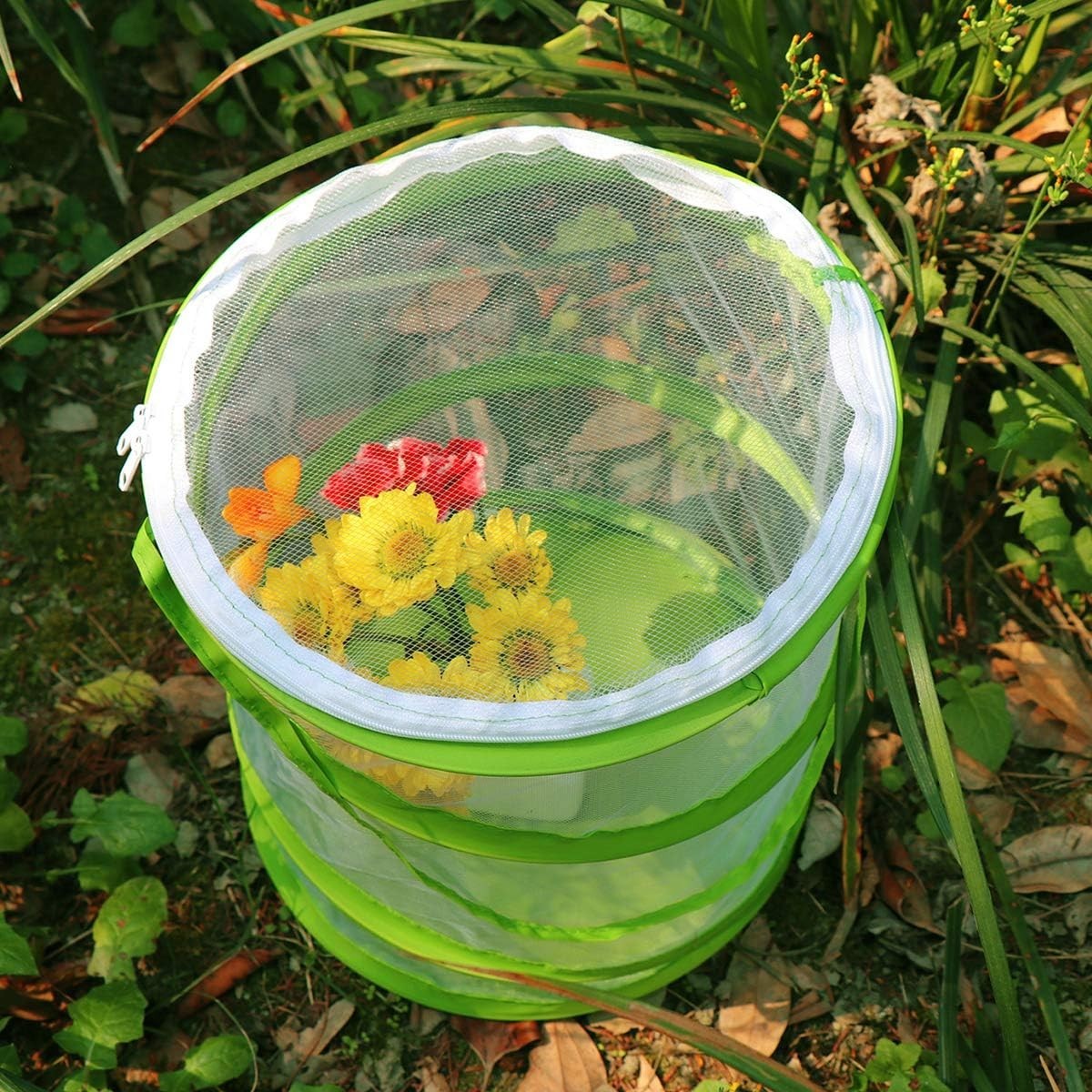 Pop-up Insect and Butterfly Habitat Cage Terrarium Clear Mesh Enclosure, See …