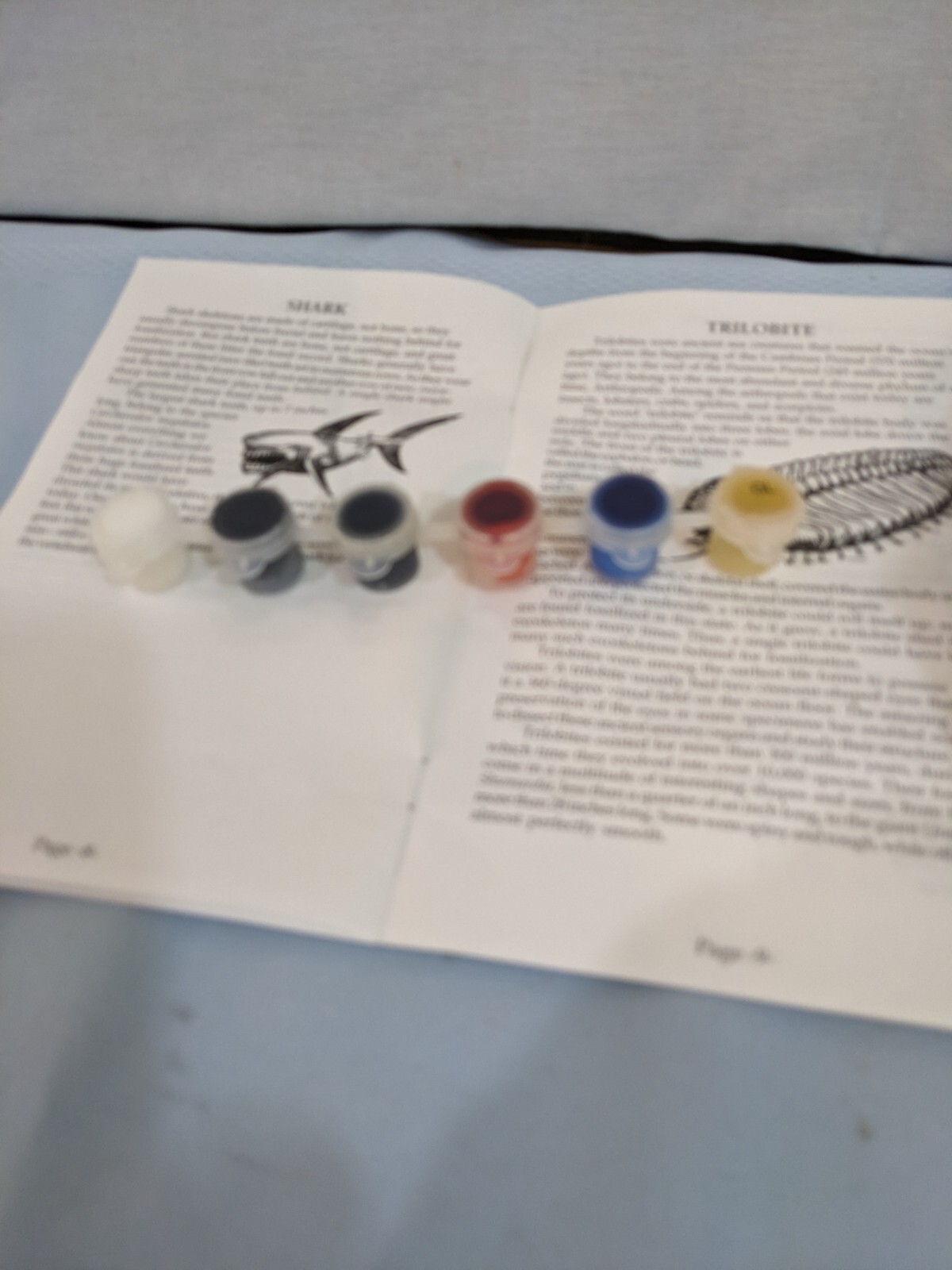 Fossilworks Eyewitness Kit Fossil Casting Activity Skullduggery
