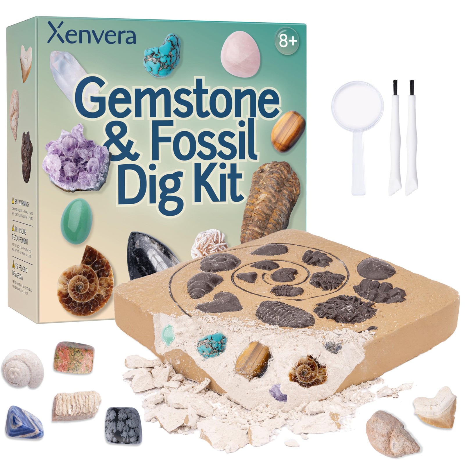 Gemstone and Fossil Dig Kit – Excavate 10 Gems and 10 Fossils, STEM Geology S…