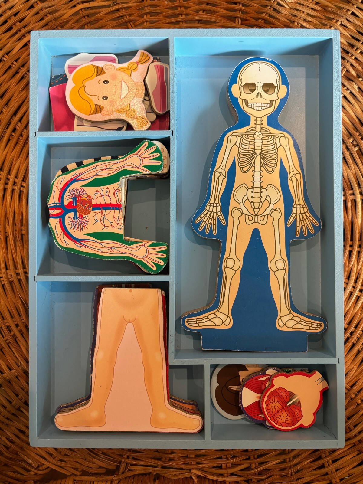 Melissa & Doug Magnetic Wood Human Body Anatomy Play Set (GOOD)