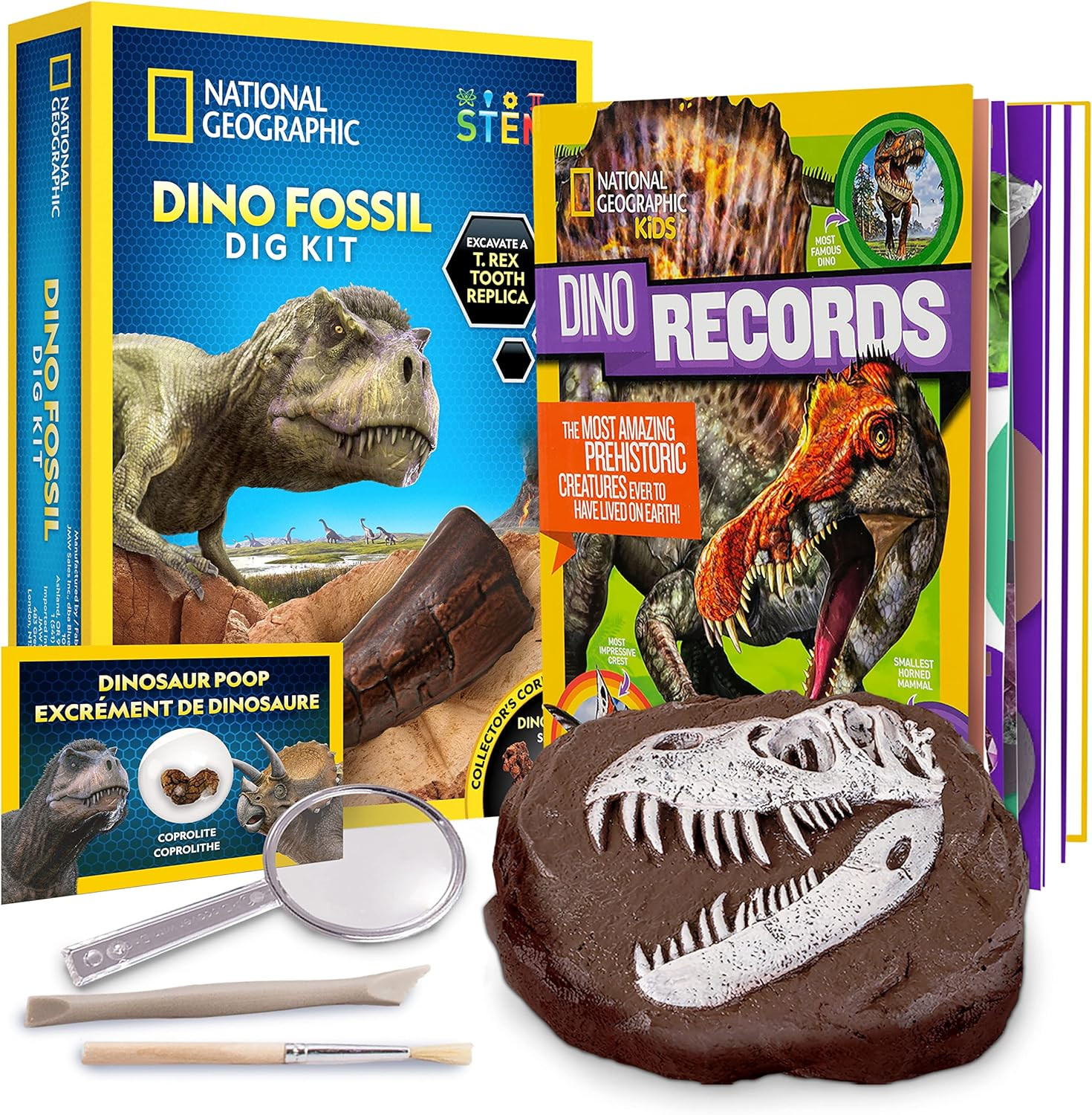 Dino Fossil Dig Kit & Dinosaur Book for Kids- Excavate a Replica Dinosaur Too…