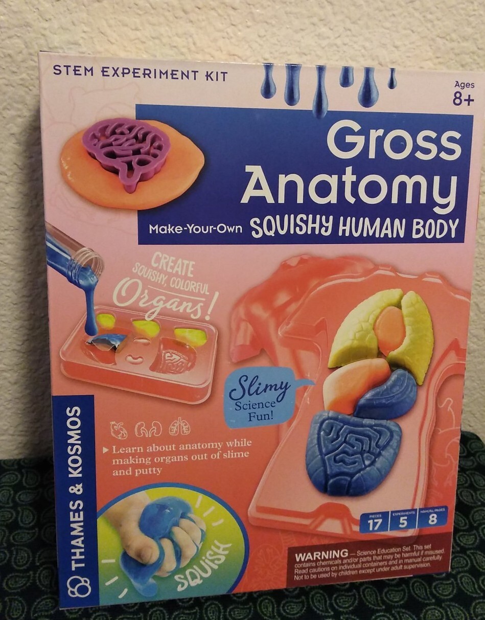 Science Kit for Kids Gross Anatomy Make-your-own Squishy Human Body Kit New