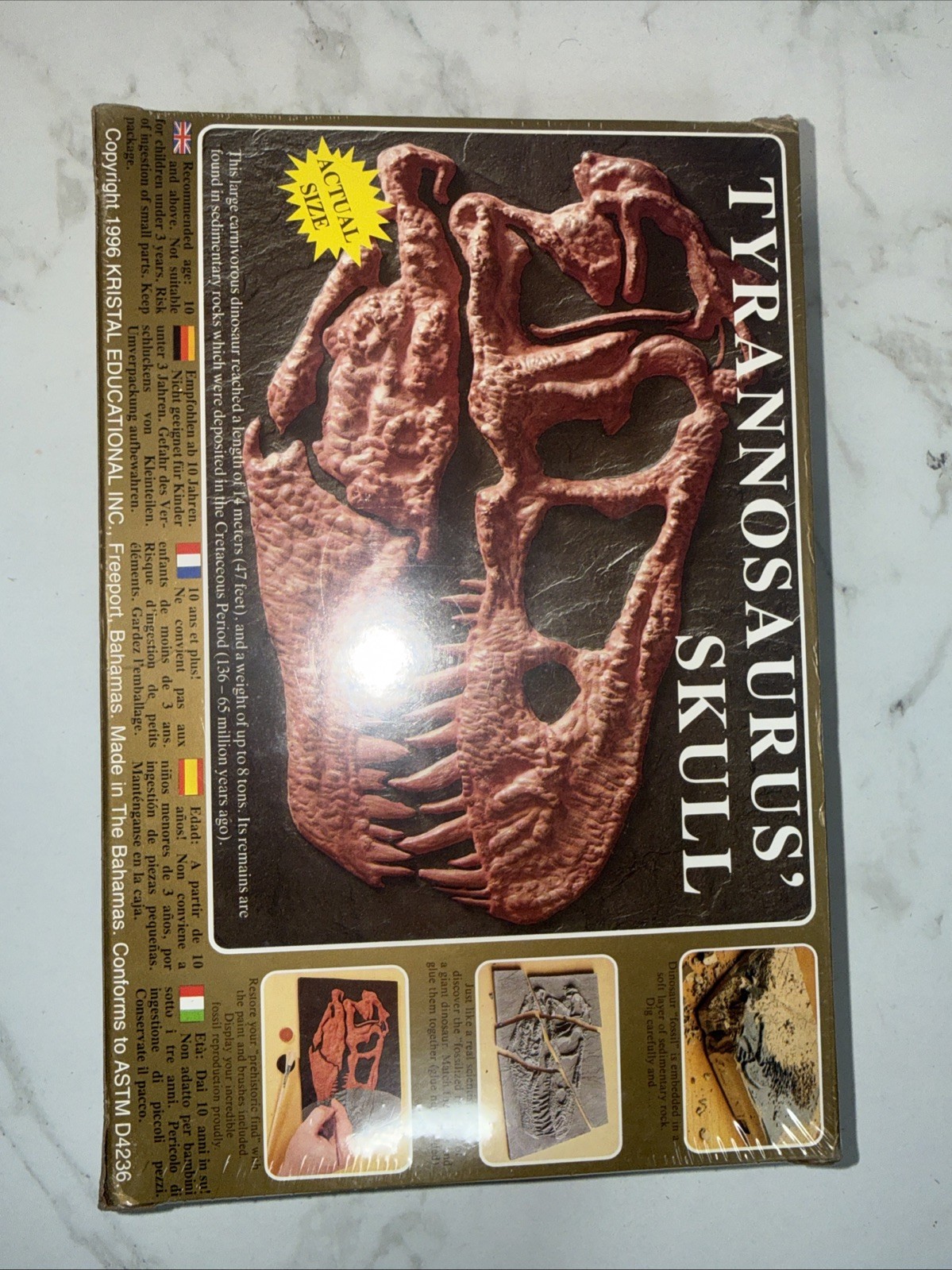 New Sealed Tyrannosaurus Rex Dinosaur Skull Excavation Kit Ages 10 & up