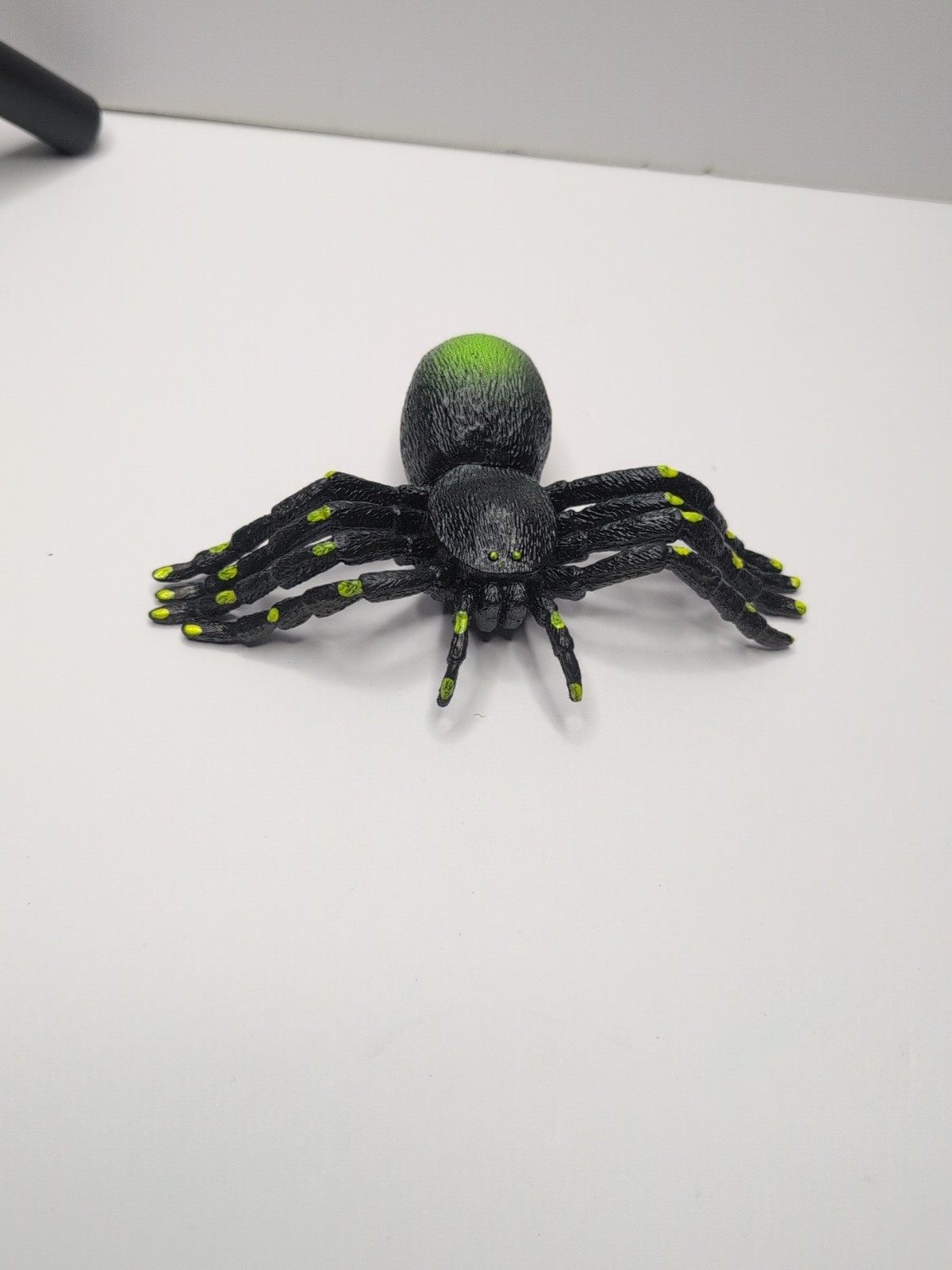 Large Plastic SPIDER Arachnid STEM Nature Toy 4 Inch Unbranded