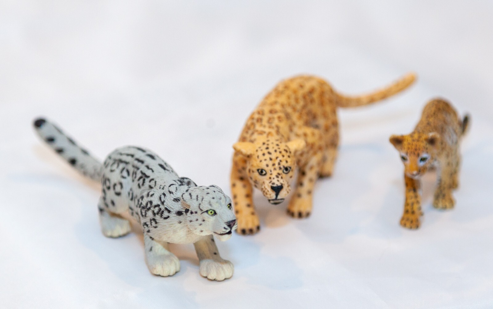 Leopards Wild Cats Wildlife Figures Safari Ltd Toys Educational Collector Lot