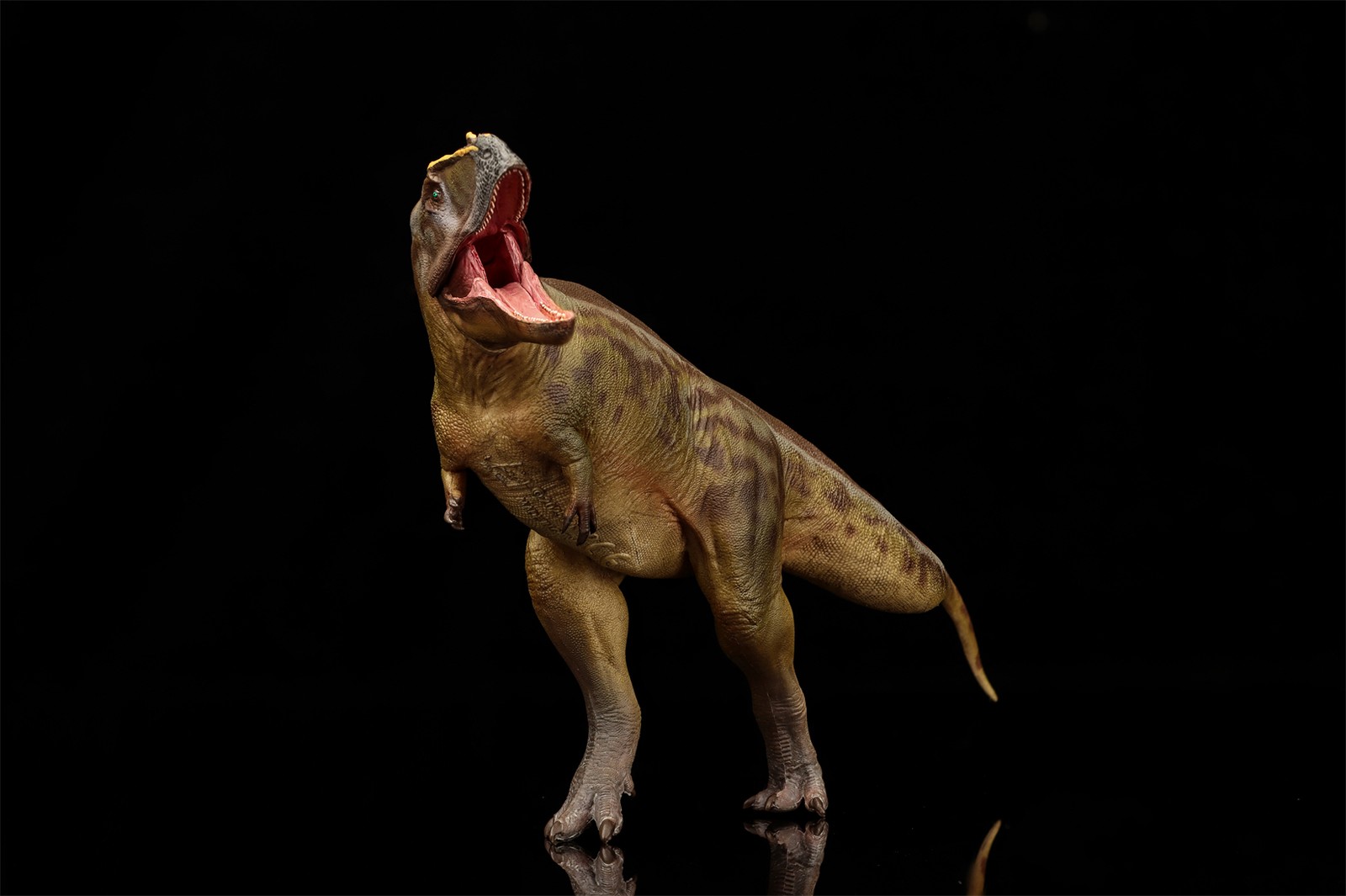 PNSO Tameryraptor 95 Model Decoration Dinosaur Animal Collection Gift Toys