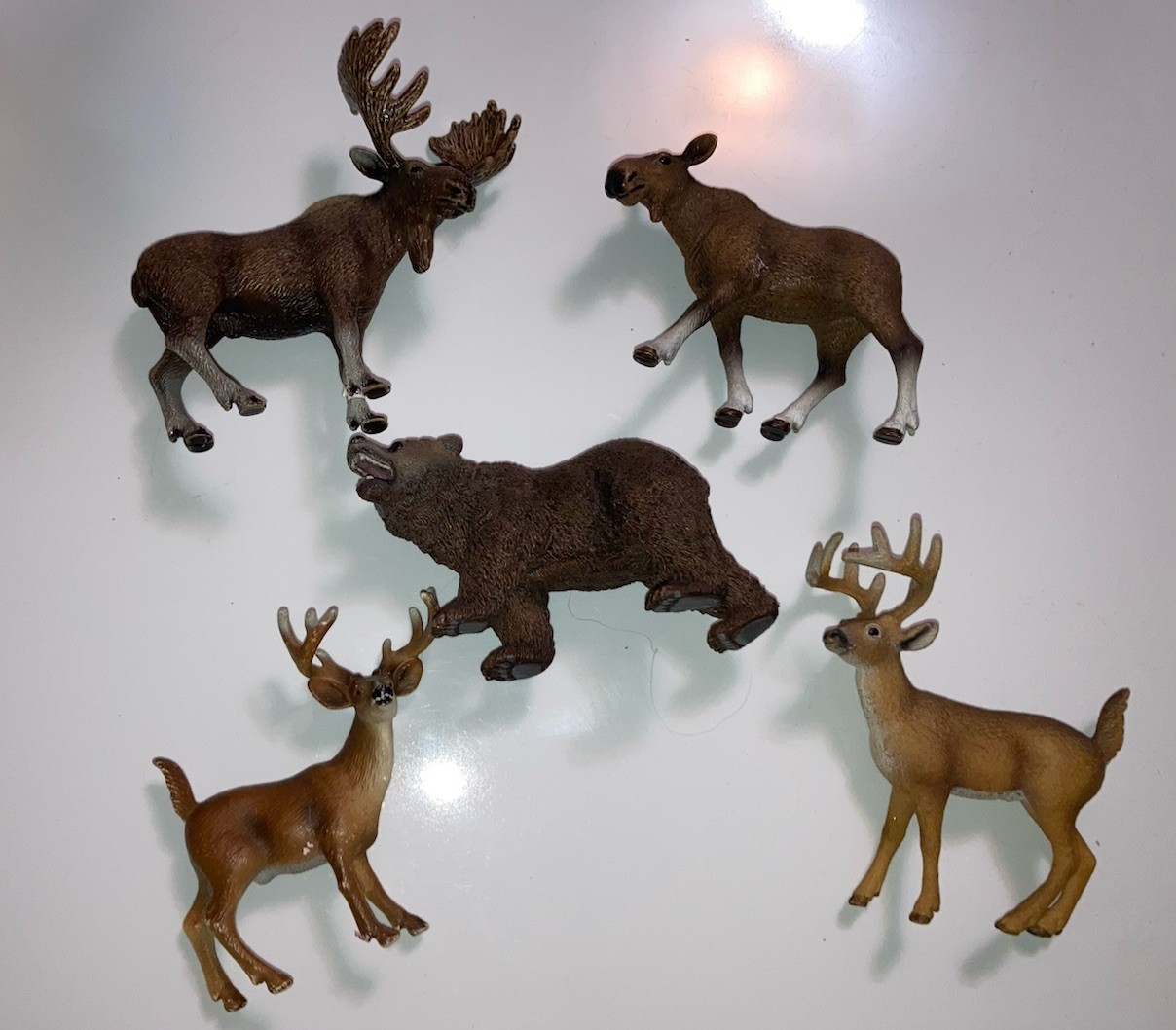 Mixed Lot Of 5 Schleich North American Forest Animals~ Moose Deer Grizzly Bear