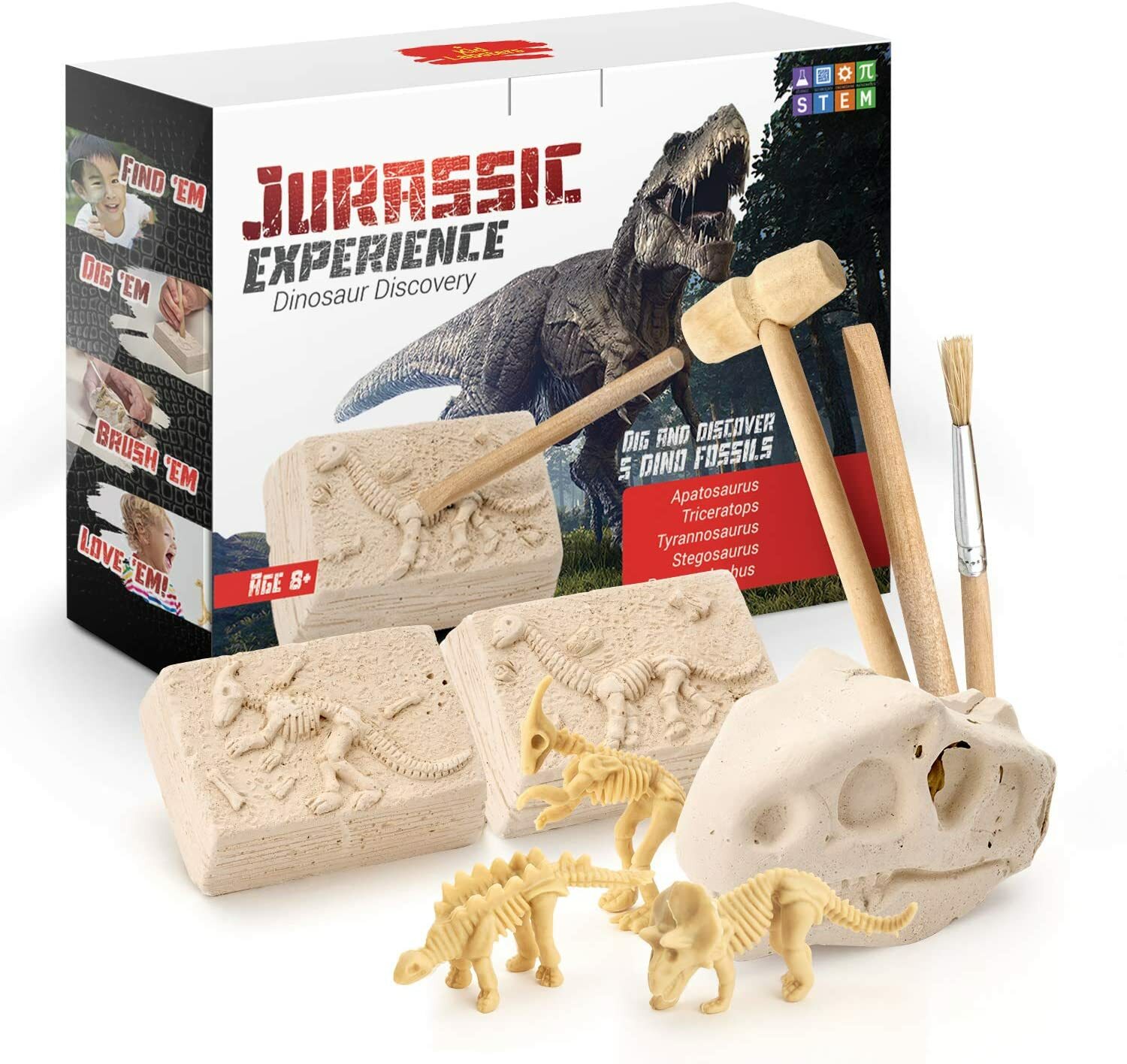 Science Can Dinosaur Digging Fossil Kit for Kids, Dinosaur Bones Excavation Kit