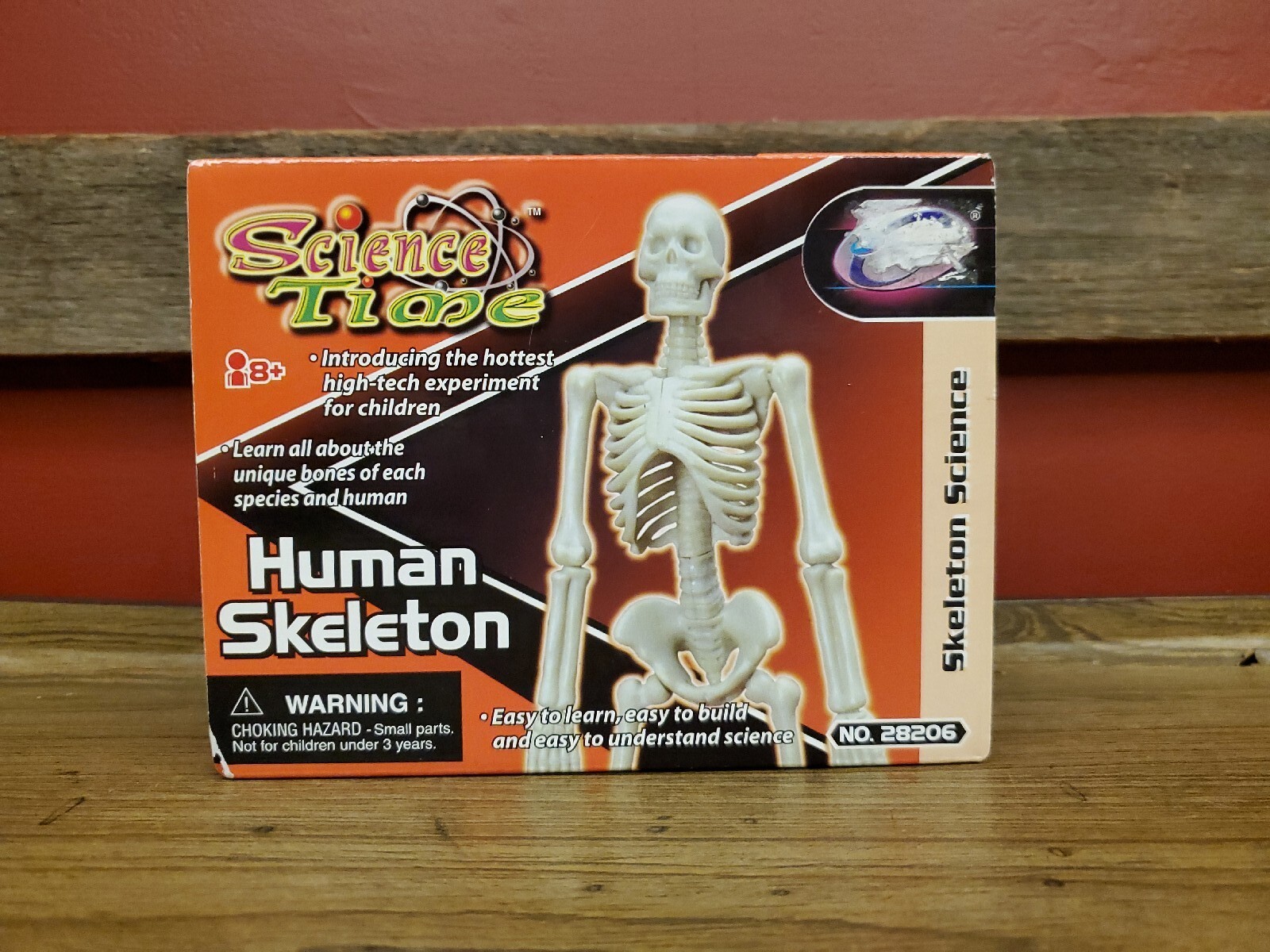 2007 SCIENCE TIME Model Kit ‘HUMAN SKELETON’ #28206 New In Box! *Base Included!