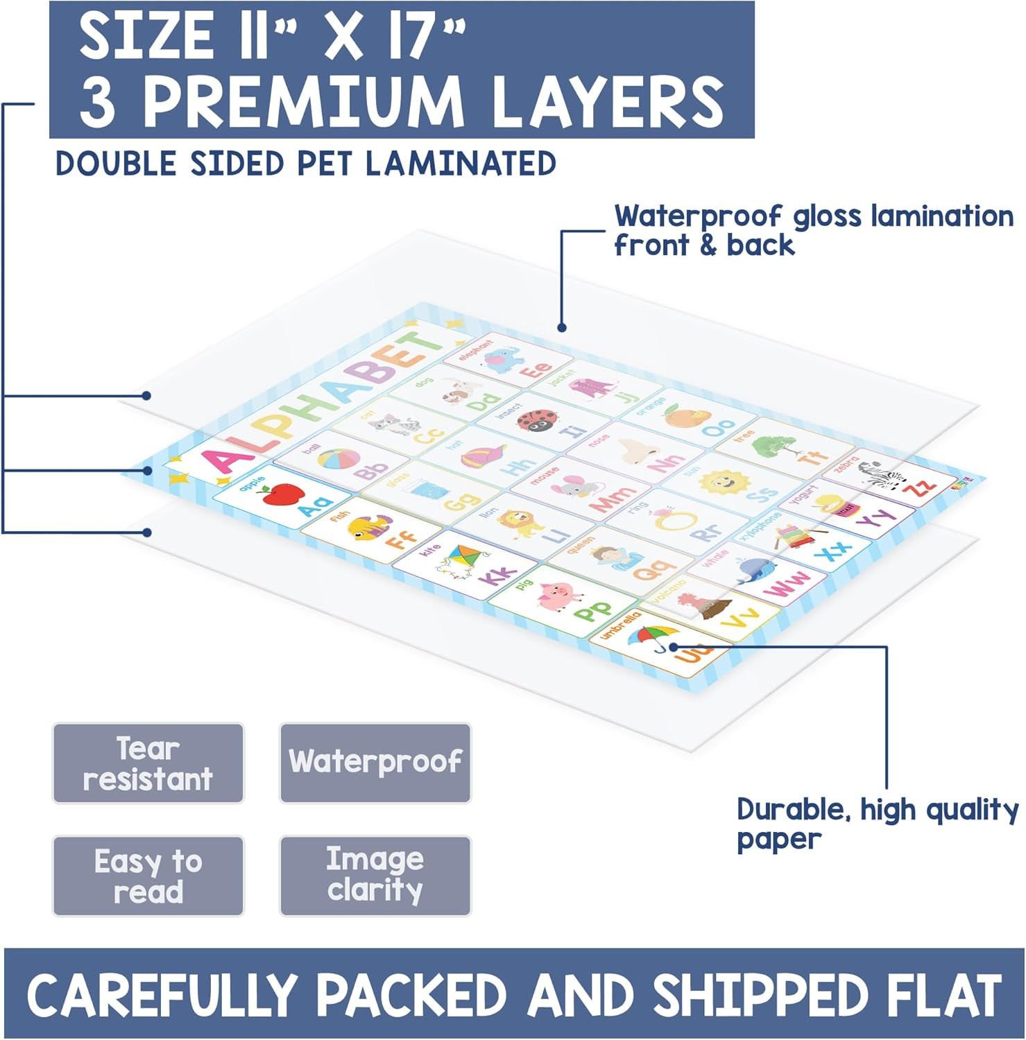 BEAWART 18 Laminated Educational Posters for Toddlers, Preschool Posters for Cla