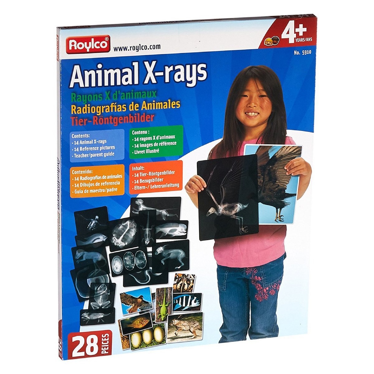 Roylco Animal X-Rays