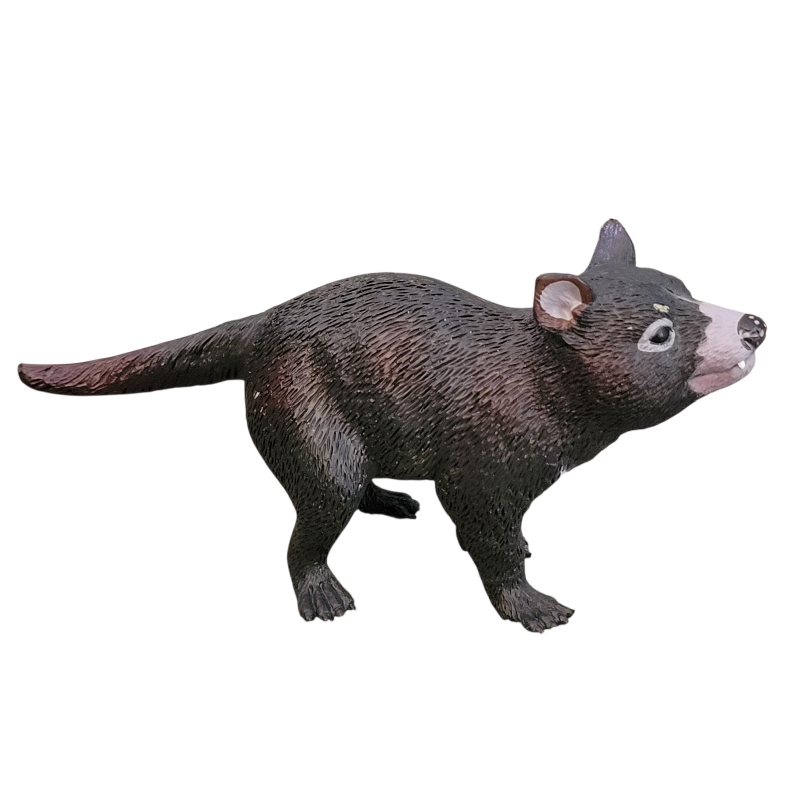Science & Nature Australian Tasmanian Devil PVC Hand Painted Mammal Figure 5.5″