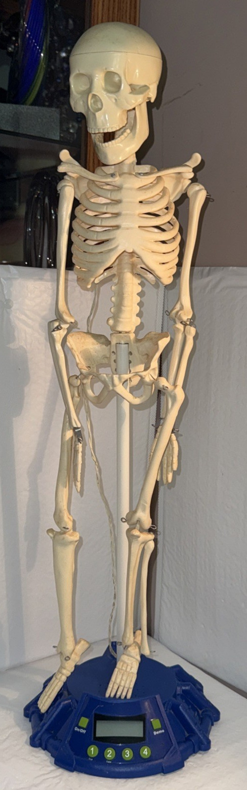 Smithsonian Skeletronix Talking Skeleton Anatomy Interactive Learning Game WORKS