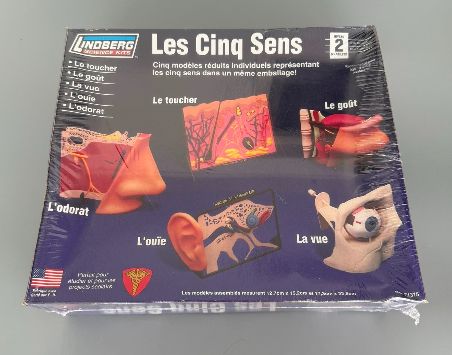 Lindberg 73115 Les Cinq Sens Five Senses Anatomy Model Kit Science Set