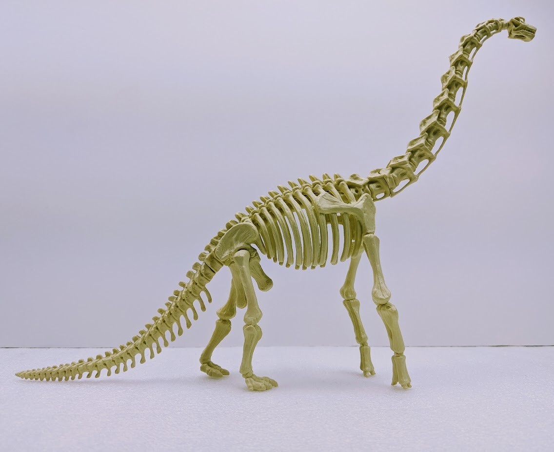 Tiny Perfect Dinosaur Series, BRACHIOSAURUS in Fossilized Egg w/ Buildable Model