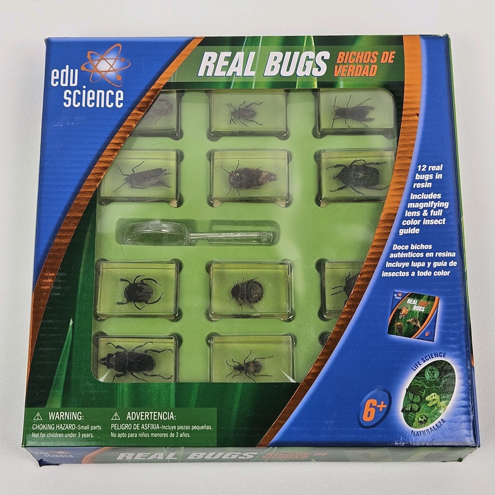 Edu Science REAL BUGS in Resin Insect Display 12-Pack Original Box, Toys «R» Us