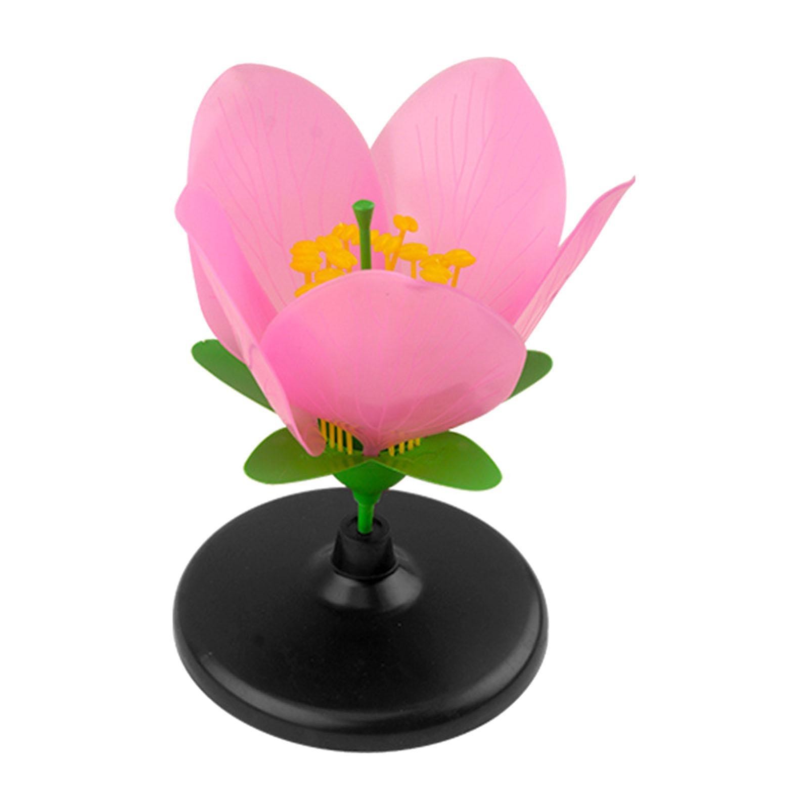 Peach Flowers Model Petal Structure Desktop Decor Interactive Realistic Teaching