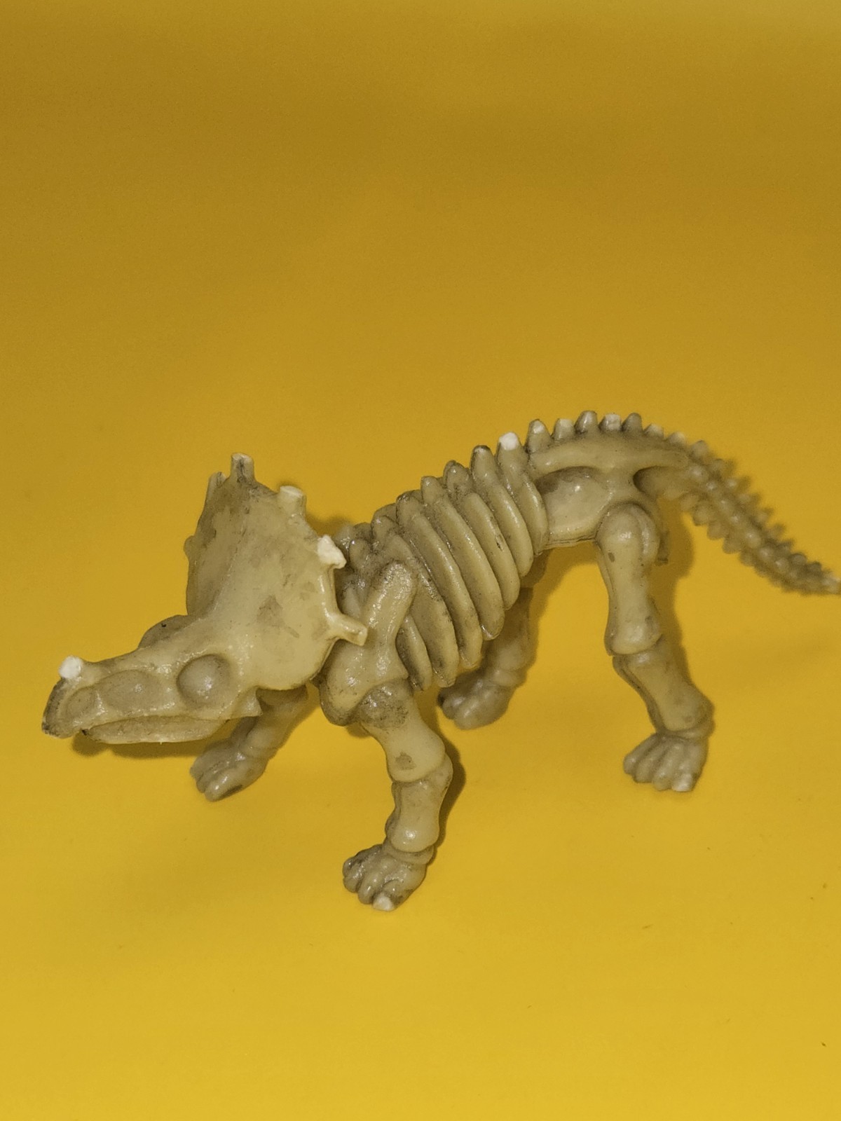 Triceratops Dinosaur Skeleton fossil prehistoric animal