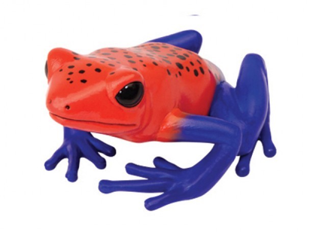 NEW BITZ 4D Master Puzzle – 3D Strawberry Frog 17 piece