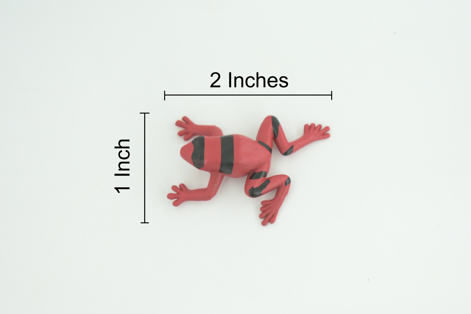 Red and Black Striped Frog Toy, Hand Painted, Rubber Model, 2 Inches CWG312 B48