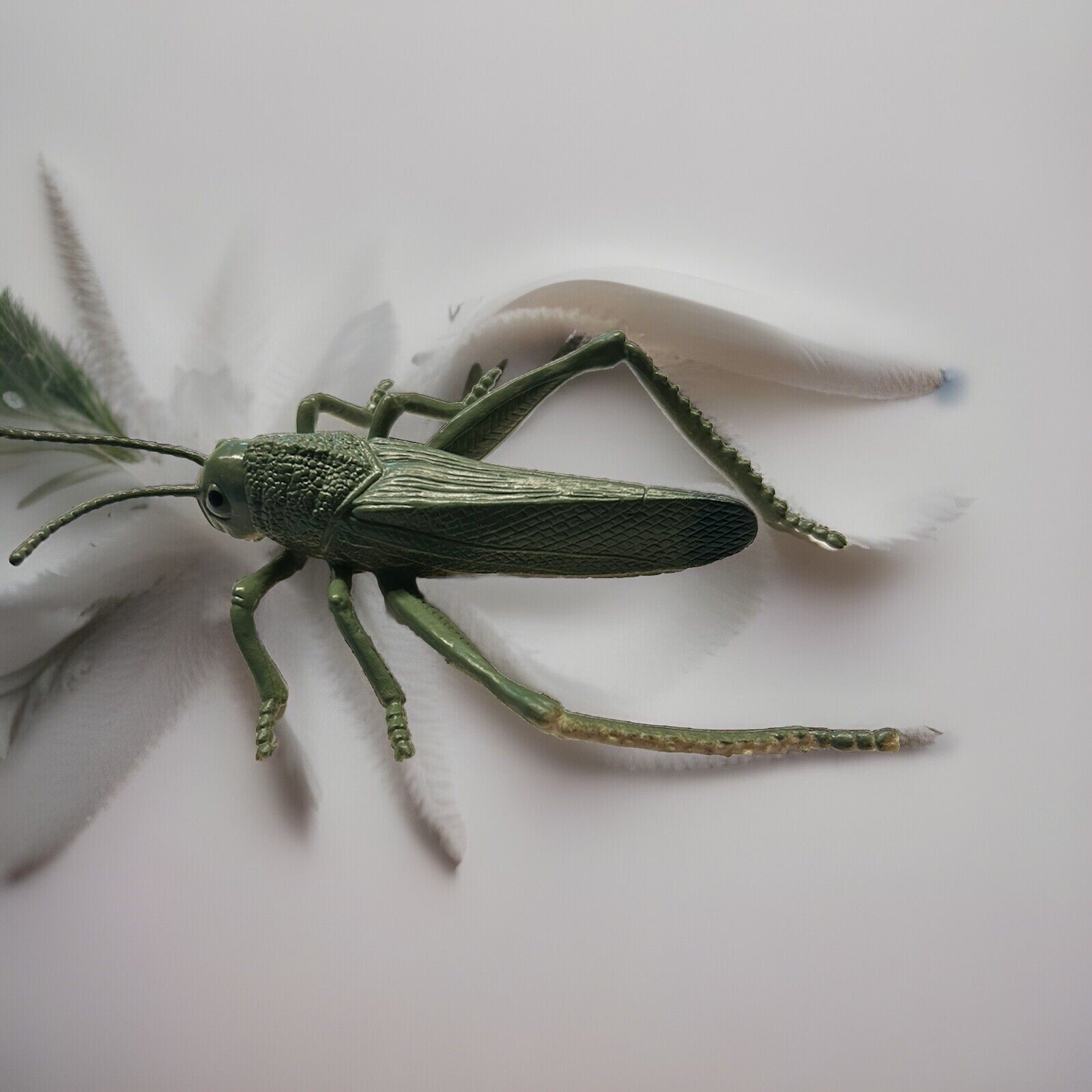 DOLGEN Realistic Rubber Grasshopper Insect Bug 7 1/2″ Toy Figure