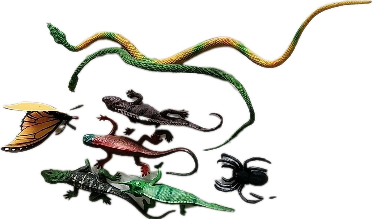 Lot 8 Colorful Learning Toys Reptiles Insects Lizards Snake Spider Butterfly