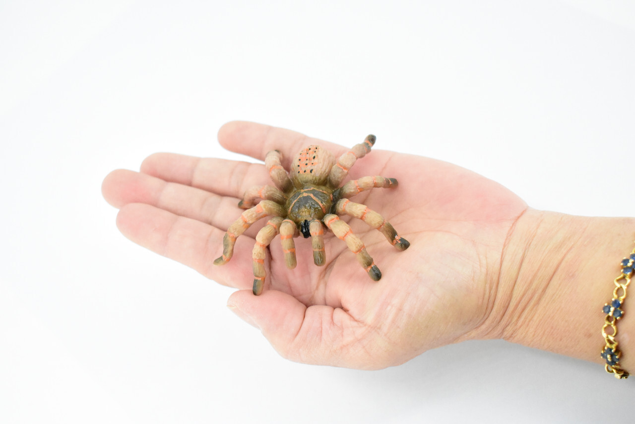 Wolf Spider, Hand Painted, Realistic Toy Figure, Model 3″ CH422 BB108