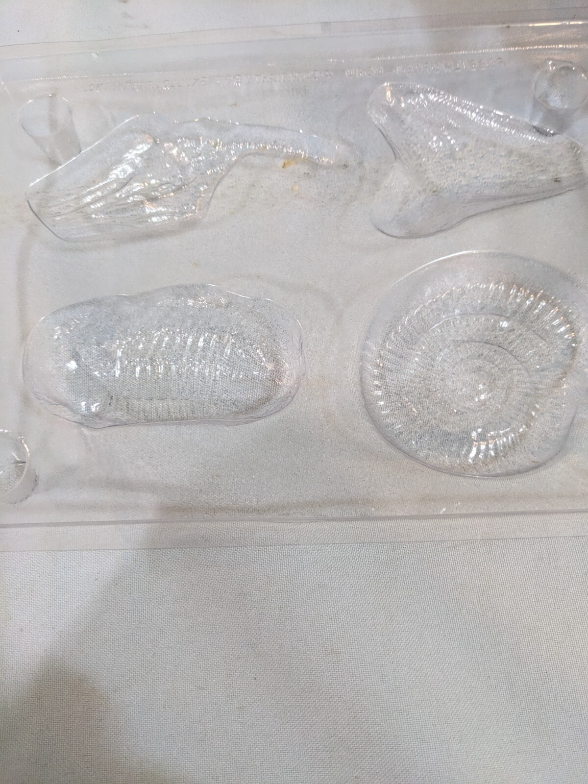 Fossilworks Eyewitness Kit Fossil Casting Activity Skullduggery