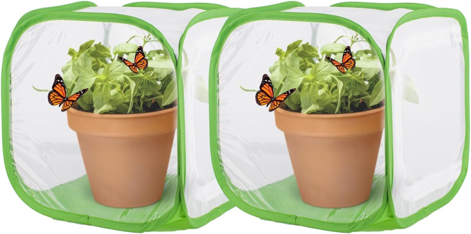 2Pcs 12″ S Size Green Butterfly Habitat Cage, Monarch Butterfly Habitat, Butterf